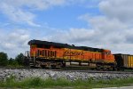 BNSF 6402 Roster shot